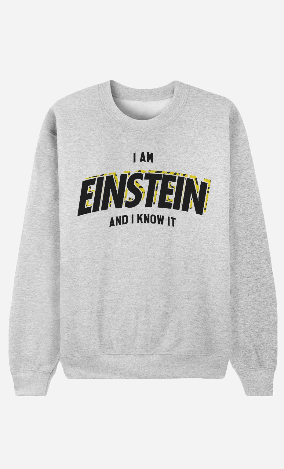 Sweatshirt I Am Einstein And I Know it