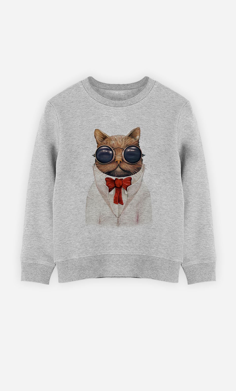 Sweatshirt Astro Cat