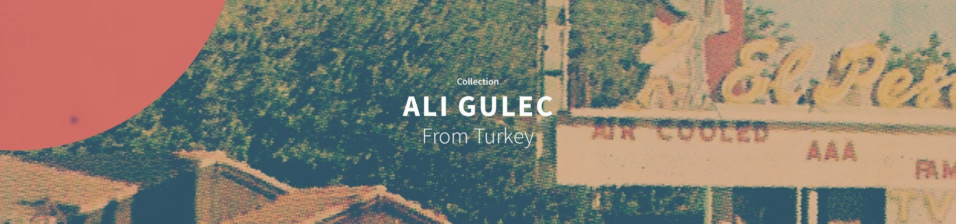 Ali Gulec