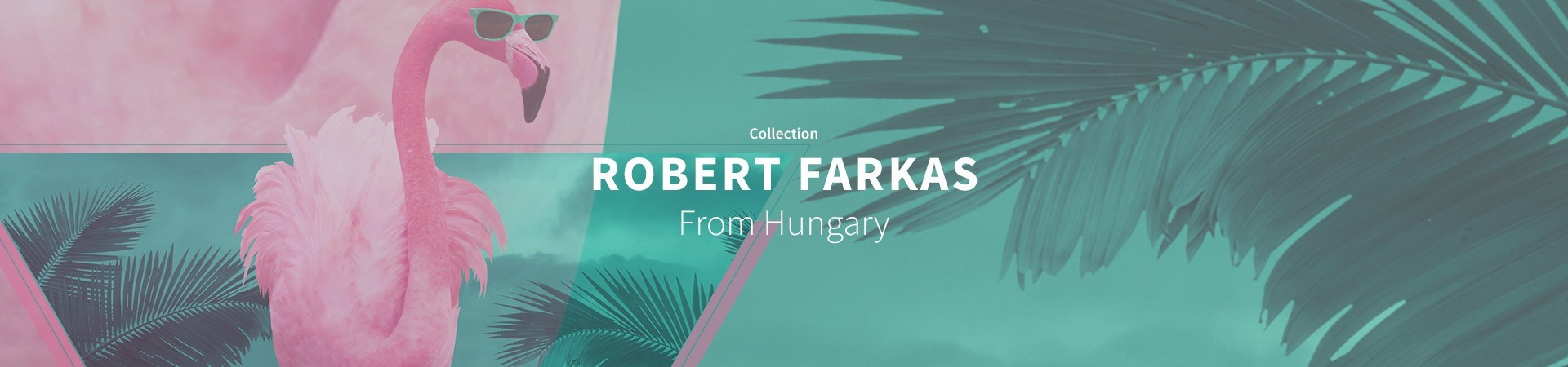 Robert Farkas